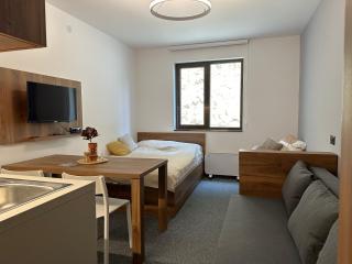 Apartman Kod Gondole Vila Bela Reka - Brzeće - 9