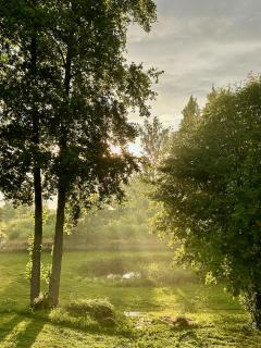 Inn Serendipity Eesti - - 9