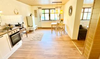 Ferienwohnung nahe Schloss Kuckuckstein,Infrarotsauna, Hunde - 7