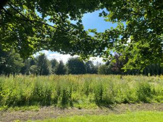 NEU! Luxus Apartment - 9