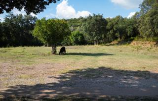 Lovely Home In Vignale With Wifi - 6