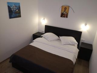 Aterman Apartment's - Şinca Veche - 8