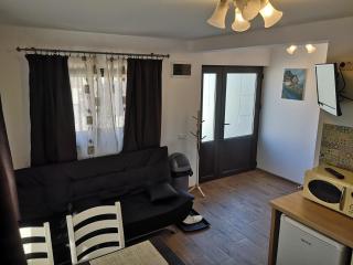 Aterman Apartment's - Şinca Veche - 3