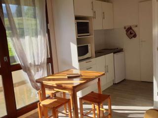 Charmant Appartement avec Balcon à Villard-de-Lans, Proche Centre et Pistes - FR-1-515-164 - Villard-de-Lans - 9