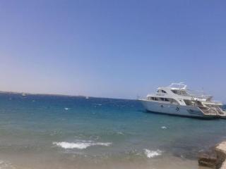 Desert Rose Apartment - Hurghada - 3