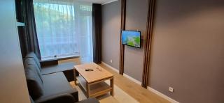Apartament Barbara Ustroń Jaszowiec - Ustroń - 1