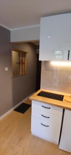 Apartament Barbara Ustroń Jaszowiec - Ustroń - 2