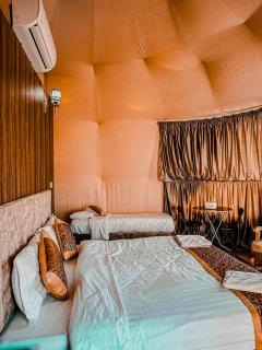 wadi rum golden camp - 2