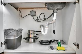 Find Tranquility in the Grove - 1