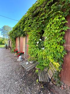 Geräumige Ferienwohnung im Grünen - 1