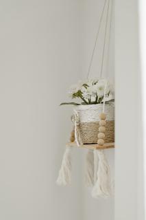 B&B VistaMare - Civitavecchia - 1