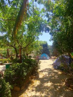 Canoa Roots Camping - Aracati - 4