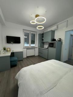 Central Suite - Floreasca - 8
