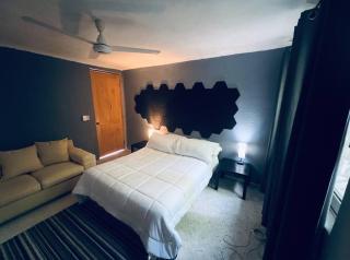 Villa Miramar , Central Vallarta - Puerto Vallarta - 7