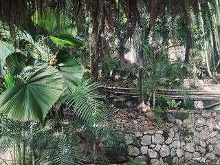Villa Miramar , Central Vallarta - Puerto Vallarta - 4