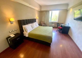 Hotel Diana del Bosque by DOT Urban - Morelia - 1