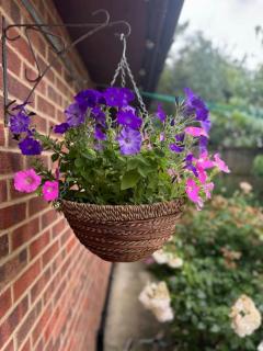 Garden flat in London - London - 8