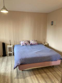 Cholet 500m du cormier 15 min du puy du fou - 6