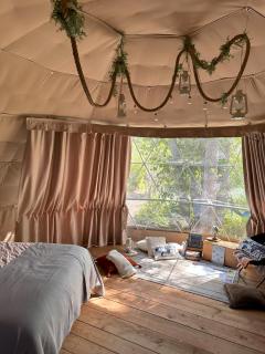 D3 Rainforest Getaway Dome- 2Dbl beds - Drumheller - 4