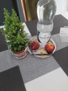 M&M Apartments - Floreşti - 1