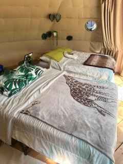 D3 Rainforest Getaway Dome- 2Dbl beds - Drumheller - 3