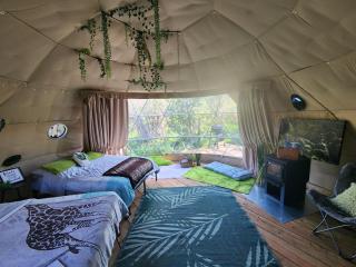 D3 Rainforest Getaway Dome- 2Dbl beds - 9