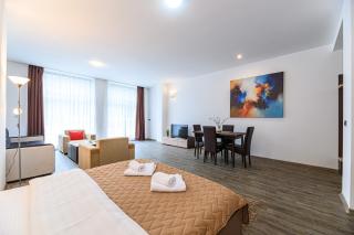 Alpine Escape Studio - Silver Mountain Resort & SPA - Poiana Brasov - Poiana Brasov - 3