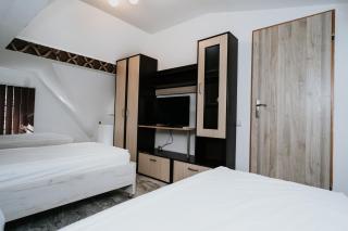 Apartment Attic - Sibiu - 1
