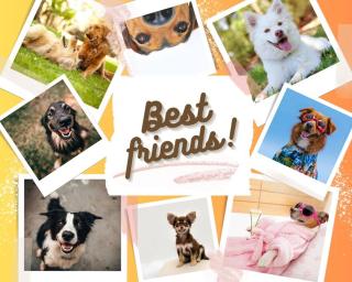 Wild West Palomino by PaseoHomesAZ with Pool & Spa - 9