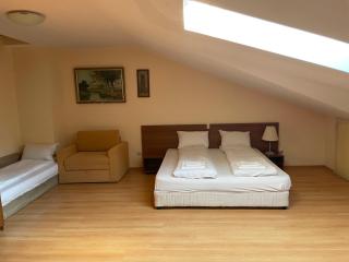 Studios-Villa Park SV - Borovets - 9