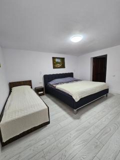Casa Ghiurcului - 8