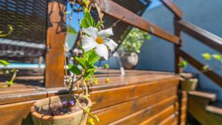 Residencial com piscina possui Jacuzzi Aquecida com Hidromassagem - Bombinhas - 5