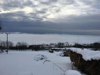 Bracken Cottage - Ballyeaston - 8