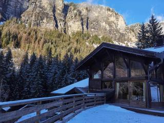 Superbe chalet 15 pers. avec spa, sauna, proche télécabine et centre, équipements complets - FR-1-679-17 - Morzine - 2