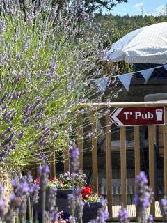 Twattleton Cottage Kilburn Yorkshire - Beautiful views - 8