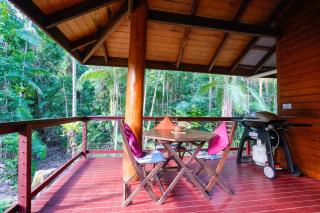 Wildwood - Cape Tribulation - 5