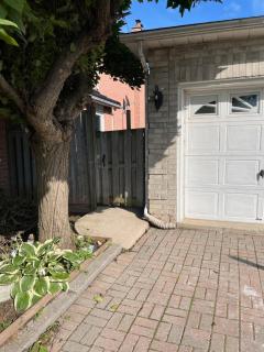 Comfortable Basement Home in Oakville, Ontario , Canada - Oakville - 7