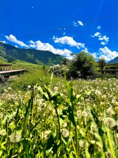 AKJOL guest house - 7