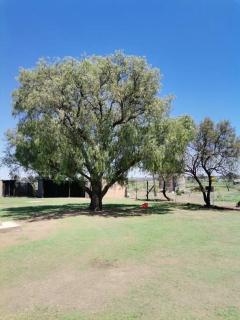 Outdoor haven-The Peppertree - - 1