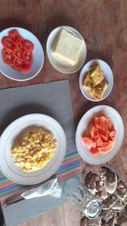 Tiger fish homestay - Bunaken - 5