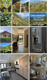 Valtellinda - Bianzone - 2