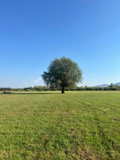 Lake shkodra - 3