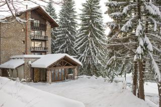 Ana Hotels Bradul Poiana Brasov - Poiana Brasov - 8