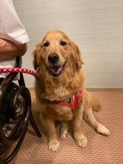 StellaMarina~海の星 ATAMI - 7