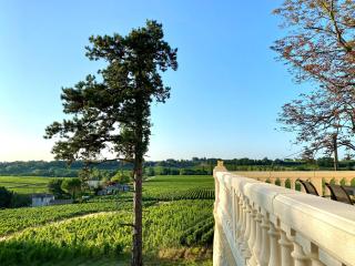 La Réserve du Château de Roques - Puisseguin - 4