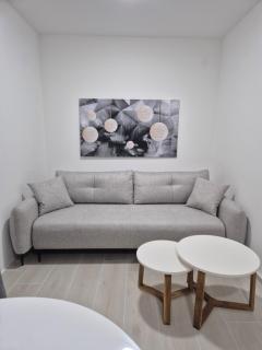 Lux apartmani Anastasija - Sutomore - 3