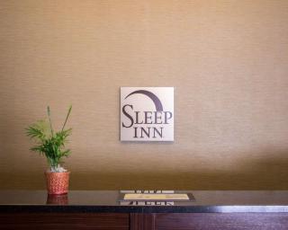 Sleep Inn Wilson near I-95 - Wilson - 3