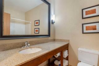 Comfort Suites McKinney-Allen - McKinney - 2