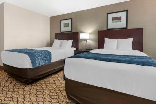 Comfort Inn & Suites Glen Mills - West Chester - Glen Mills - 7