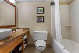 Comfort Inn & Suites Glen Mills - West Chester - Glen Mills - 5